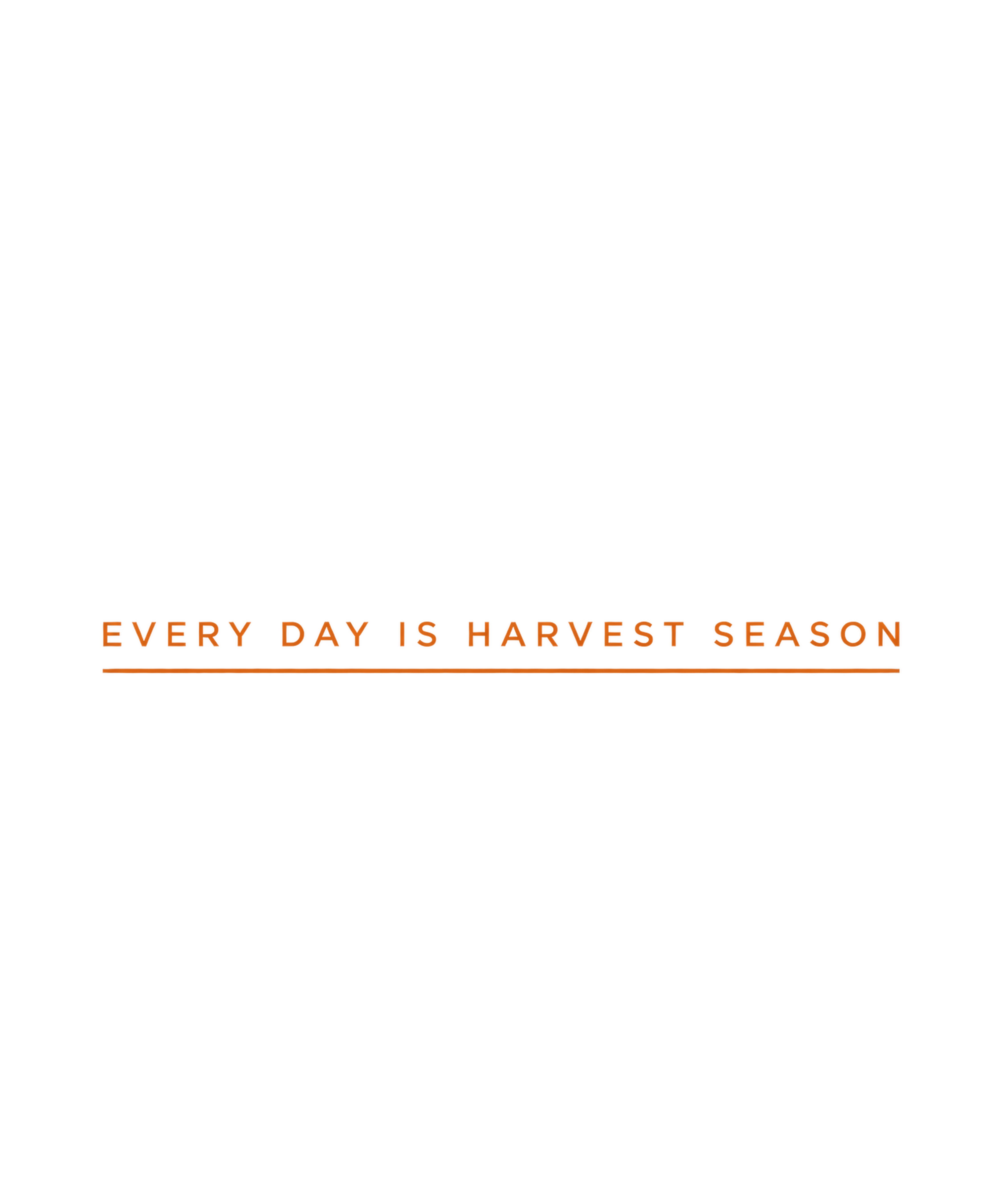Harvest Season Hoodie — Black, view 2