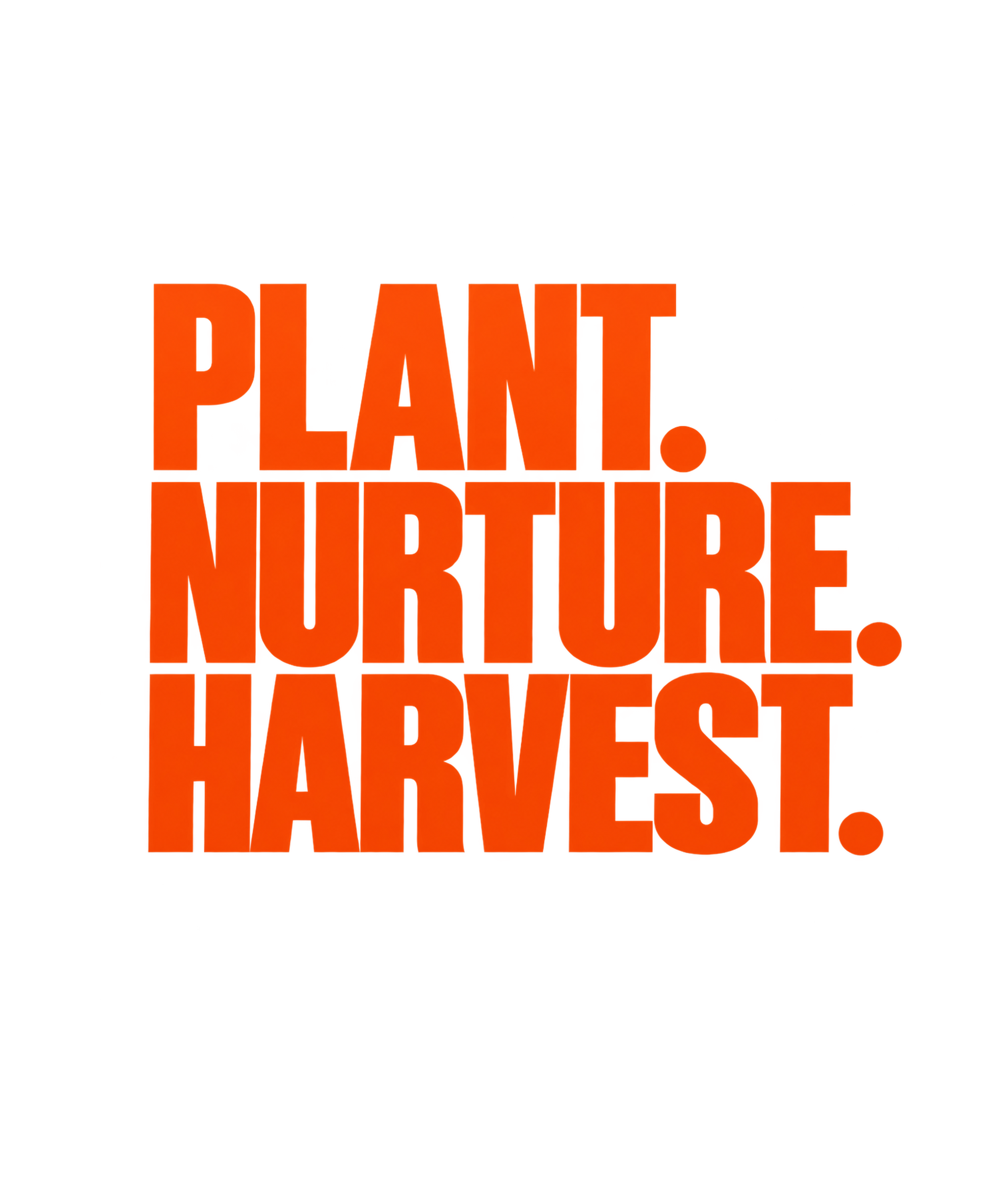 Plant Nurture Harvest Tee — Black, view 3