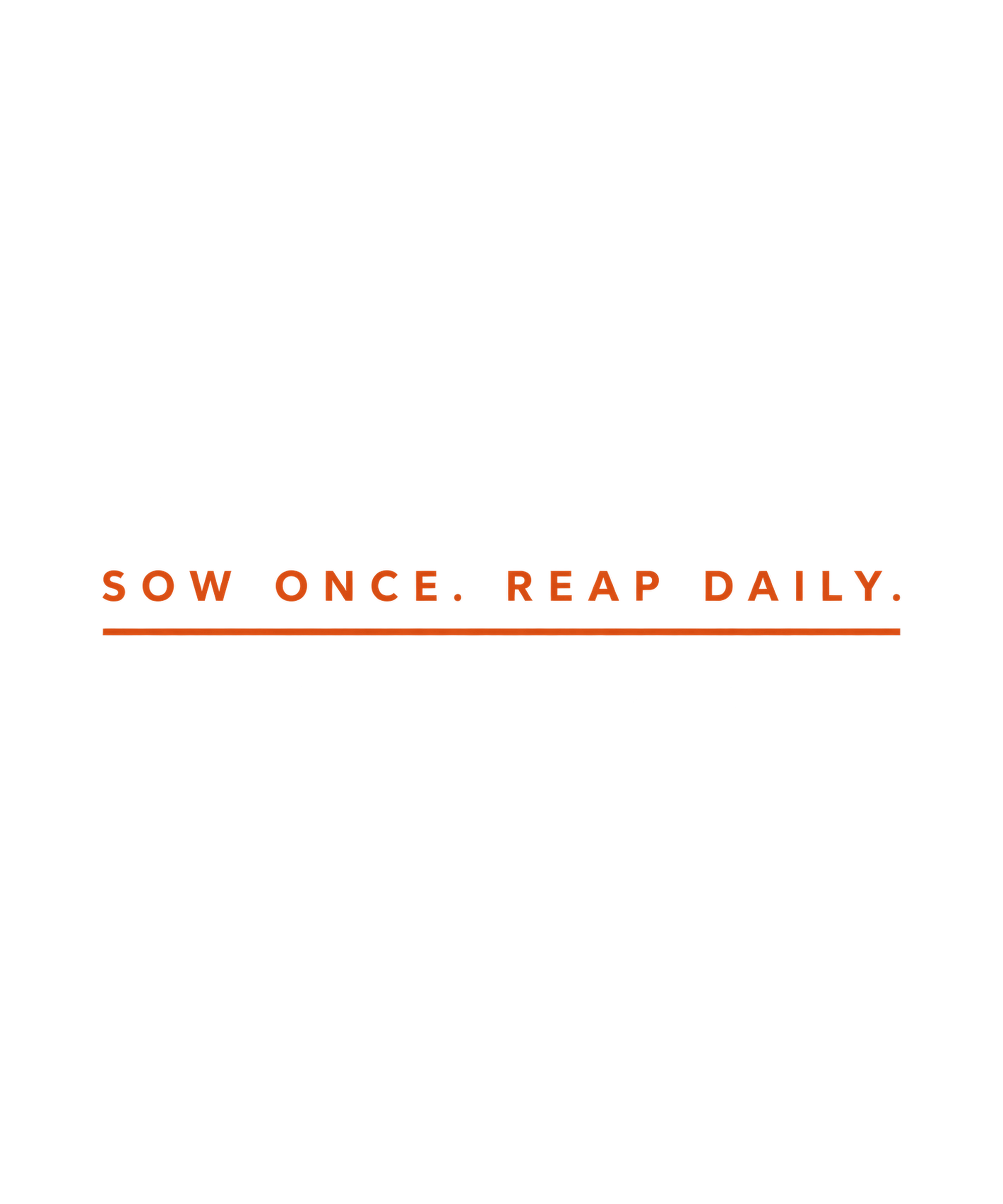 Sow Once Reap Daily Tee — Black, view 3